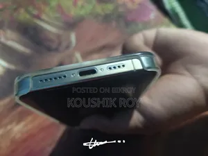 অ্যাপল আইফোন ১৫ প্রো ম্যাক্স ২৫৬ জিবি সিলভার