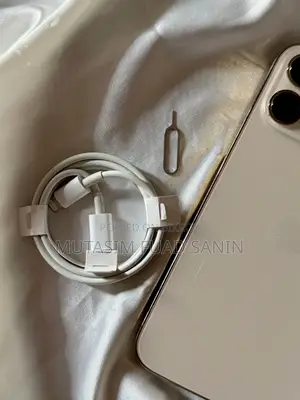অ্যাপল আইফোন ১৩ প্রো ম্যাক্স ২৫৬ জিবি গোল্ড