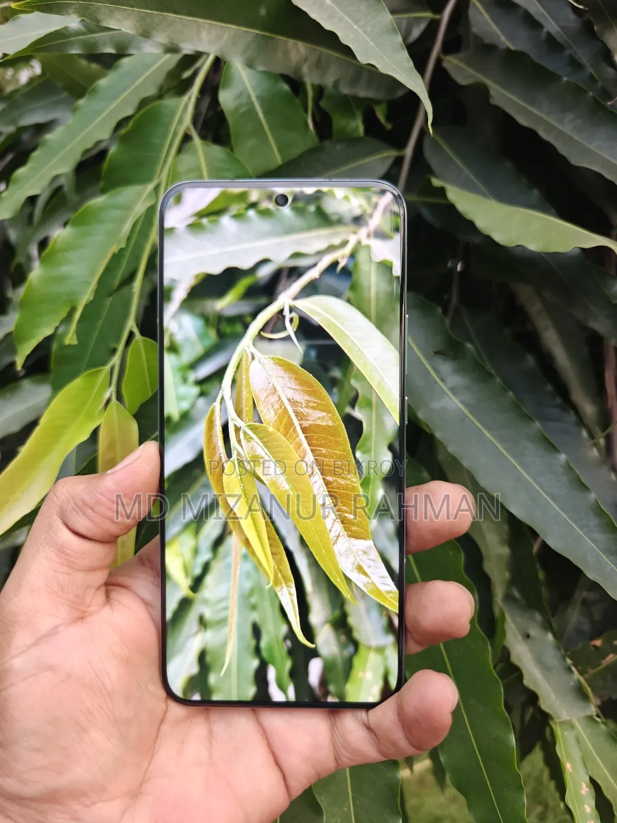 অনার ম্যাজিক৬ ২৫৬ জিবি গ্রিন
