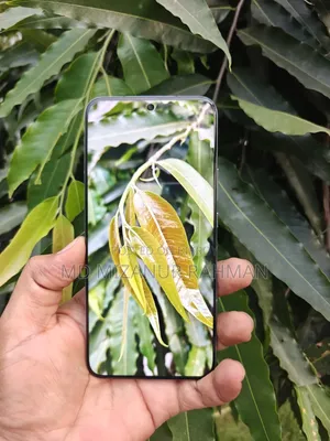 অনার ম্যাজিক৬ ২৫৬ জিবি গ্রিন