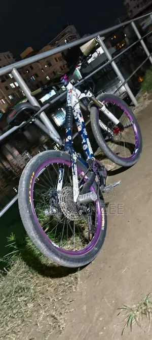 Modified Cycle