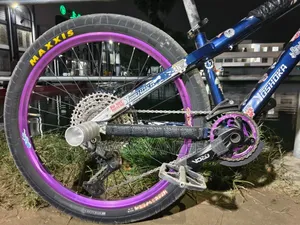 Modified Cycle