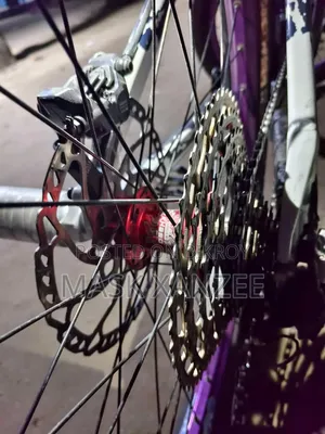 Modified Cycle