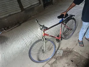 Normal Simple Bicycle
