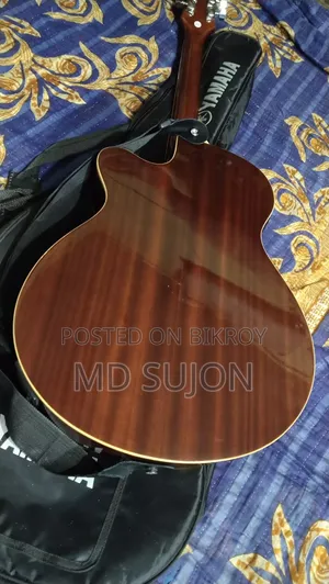 Epiphone DR-100 With Equaliser