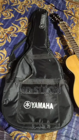 Epiphone DR-100 With Equaliser