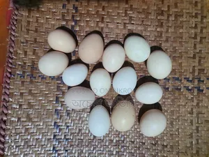 দেশি মুরগির ডিম
