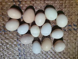 দেশি মুরগির ডিম