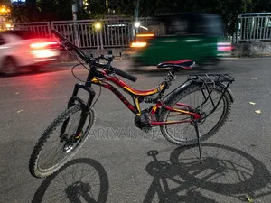 Non-Gear Bicycle with Disc Brakes