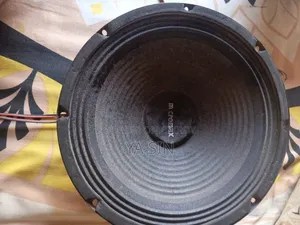 Micromax Original Speaker Driver (2 pieces)