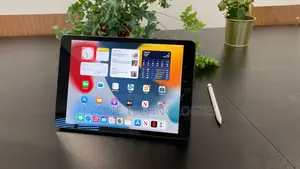 অ্যাপল আইপ্যাড ১০.২ (২০২১) ৬৪ জিবি গ্রে