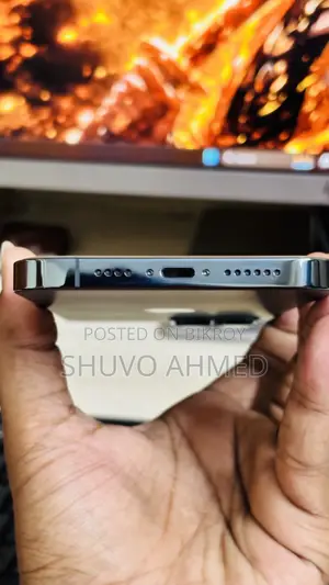 Apple iPhone 12 Pro Max 256 GB Blue