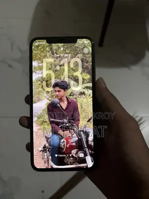 অ্যাপল আইফোন ১১ প্রো ম্যাক্স ২৫৬ জিবি গোল্ড