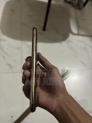 অ্যাপল আইফোন ১১ প্রো ম্যাক্স ২৫৬ জিবি গোল্ড