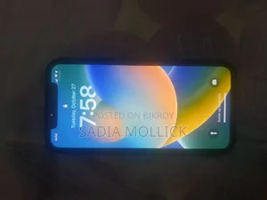অ্যাপল ২৫৬ জিবি গোল্ড