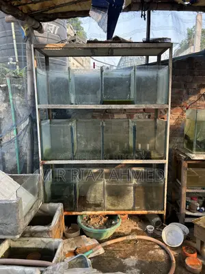 Aquarium Stand and Aquarium