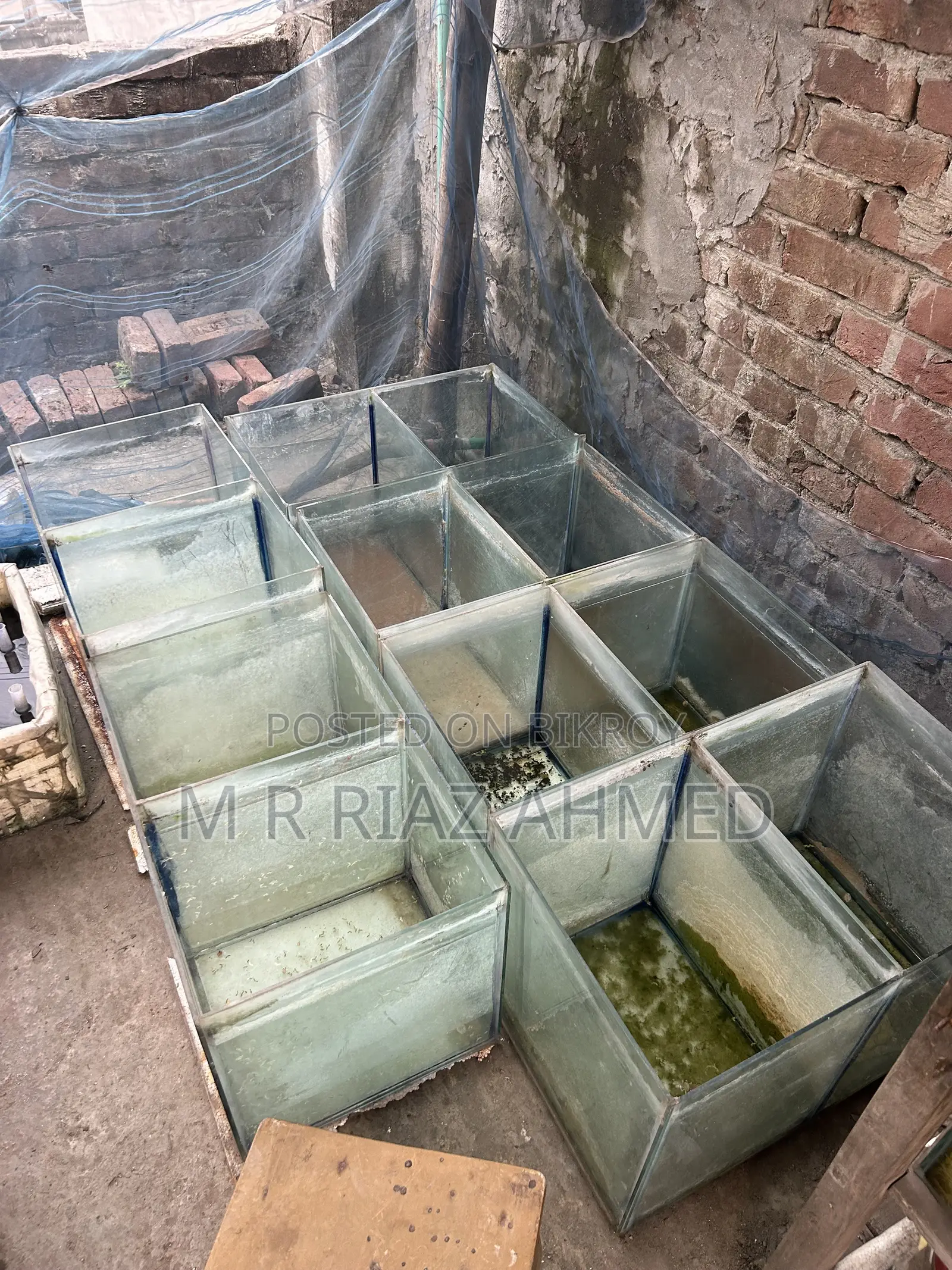 Aquarium Stand and Aquarium