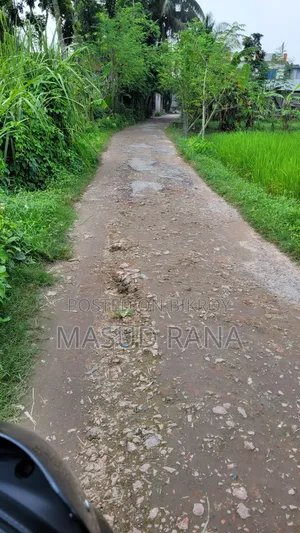 জমি ও বাগান