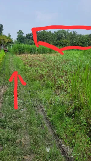 Land & Garden