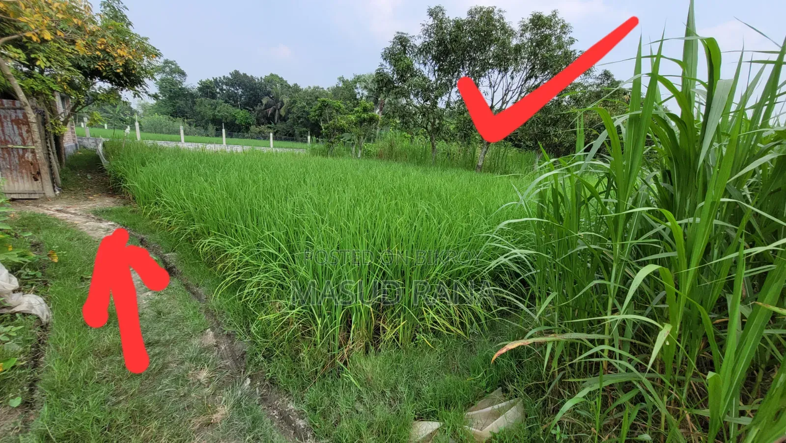 Land & Garden