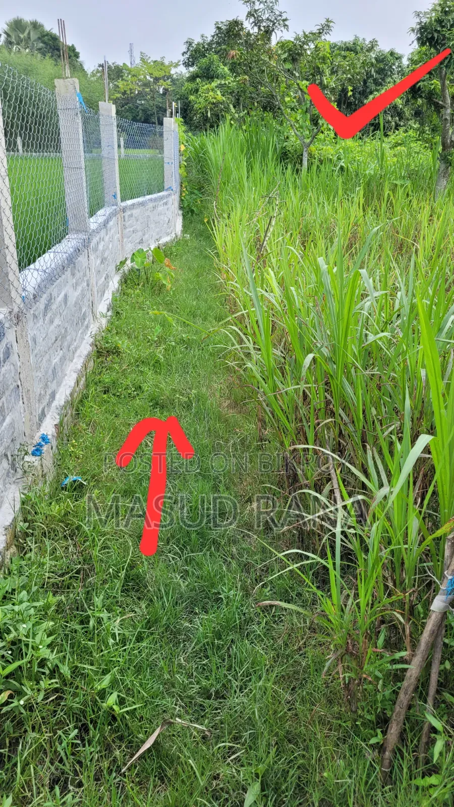Land & Garden