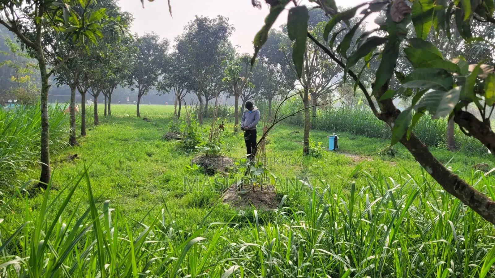 Land & Garden