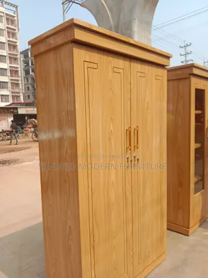 দুই পাল্লা আকর্ষণীয় মডেল আলমারি