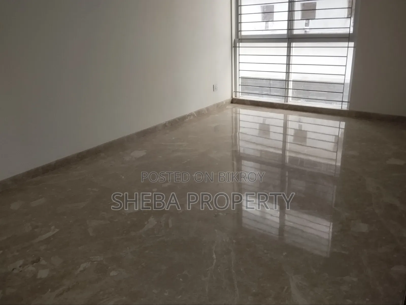 Furnished 4-Bedroom Apartment in Gulshan for rent