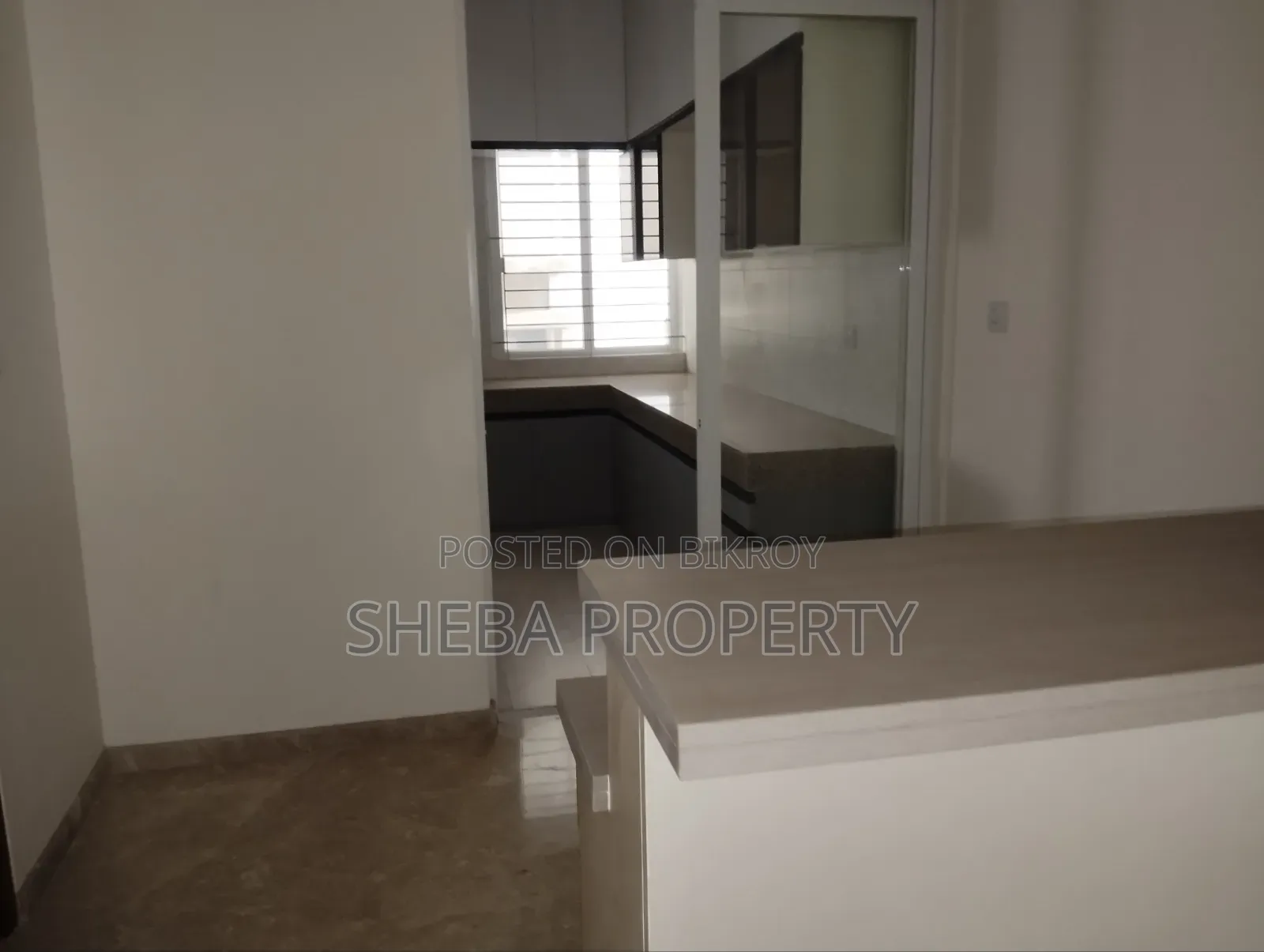 Furnished 4-Bedroom Apartment in Gulshan for rent