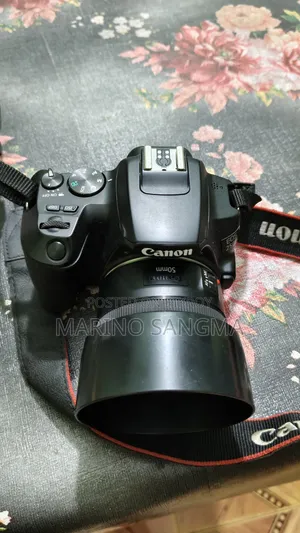 Canon 250d With 50mm Prime Lense