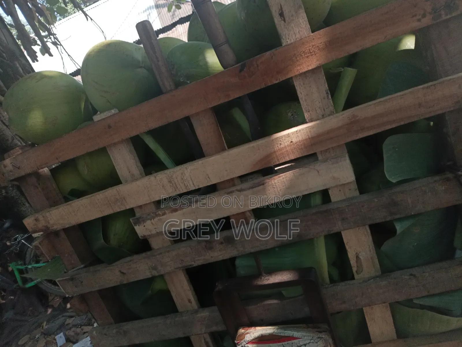 খামার থেকে তাজা ডাব