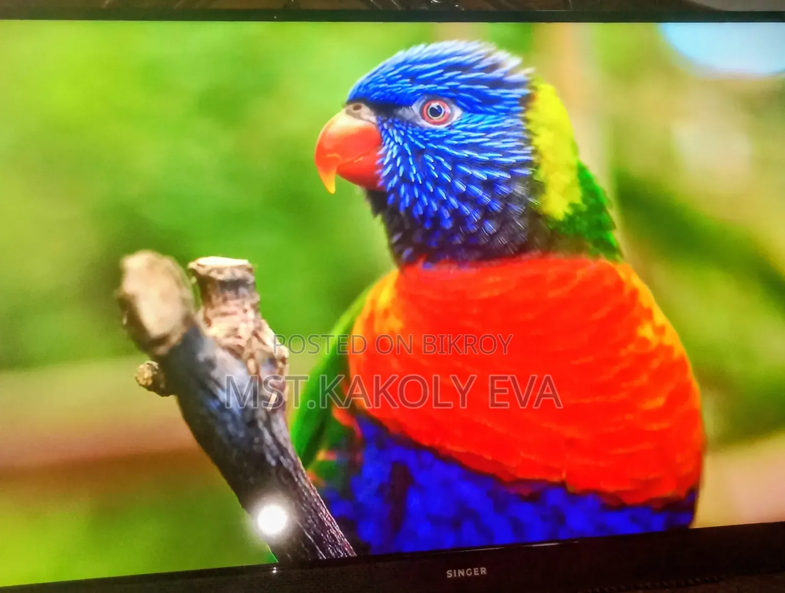 Singer 43 Inch Smart Tv7000GOTV Pure Sound