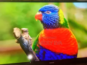 Singer 43 Inch Smart Tv7000GOTV Pure Sound