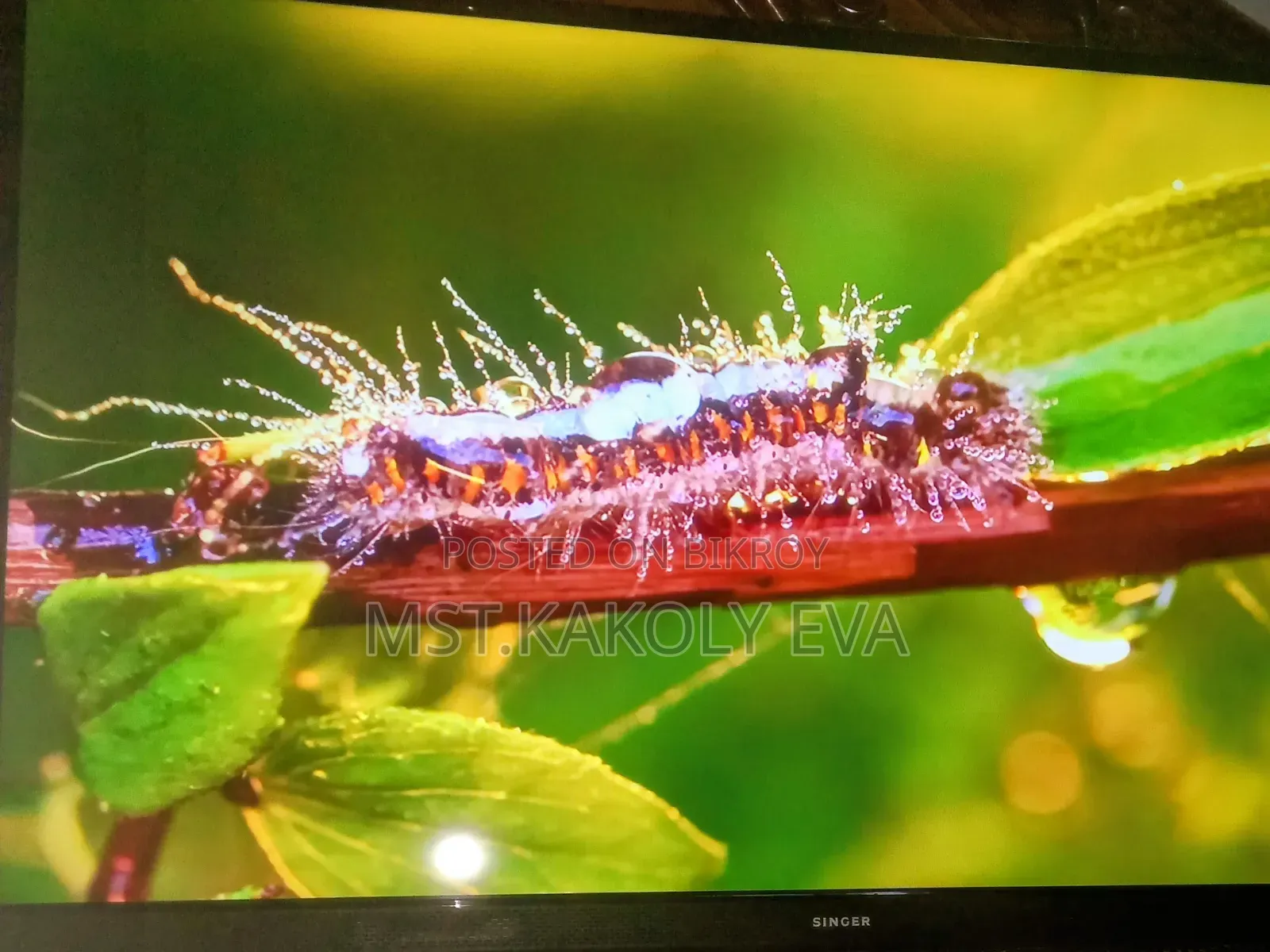 Singer 43 Inch Smart Tv7000GOTV Pure Sound