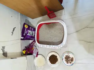 ৩-৬ মাসের মহিলা খাঁটি পার্সিয়ান