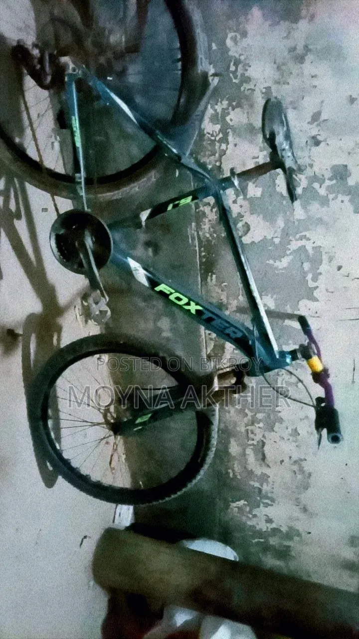 Foxter Cycle