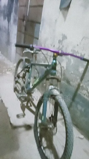 Foxter Cycle