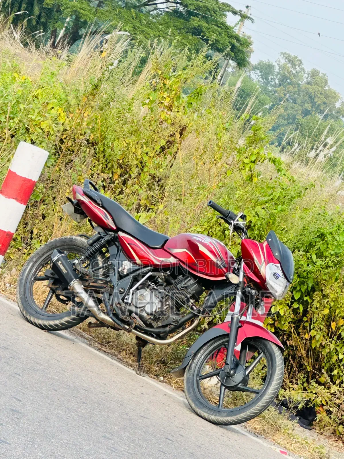 Bajaj Discover 100 2012 Red