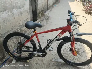Phoenix Gear Cycle Alloy Body 26"
