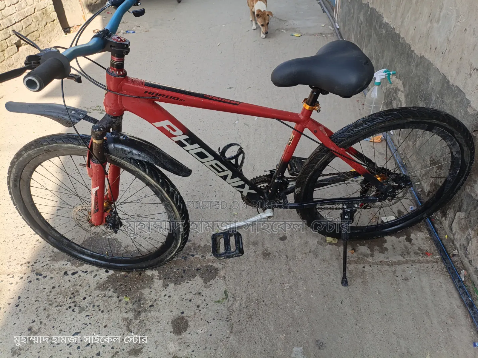 Phoenix Gear Cycle Alloy Body 26"