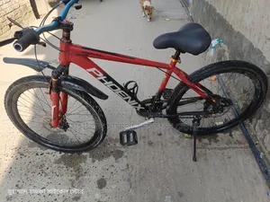 Phoenix Gear Cycle Alloy Body 26"