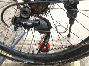 Phoenix Gear Cycle Alloy Body 26"