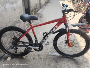Phoenix Gear Cycle Alloy Body 26"