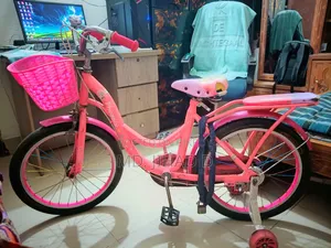 (Phoenix Original Bicycle for Sale)