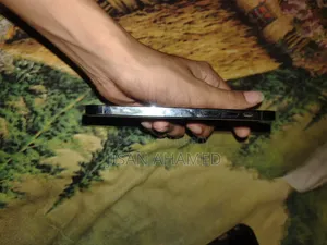 অ্যাপল আইফোন ১২ প্রো ২৫৬ জিবি ব্লু