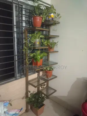 Glass Rack With Flower