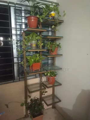 Glass Rack With Flower