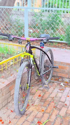 Veloce Cycle (MTB)