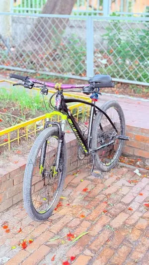 Veloce Cycle (MTB)