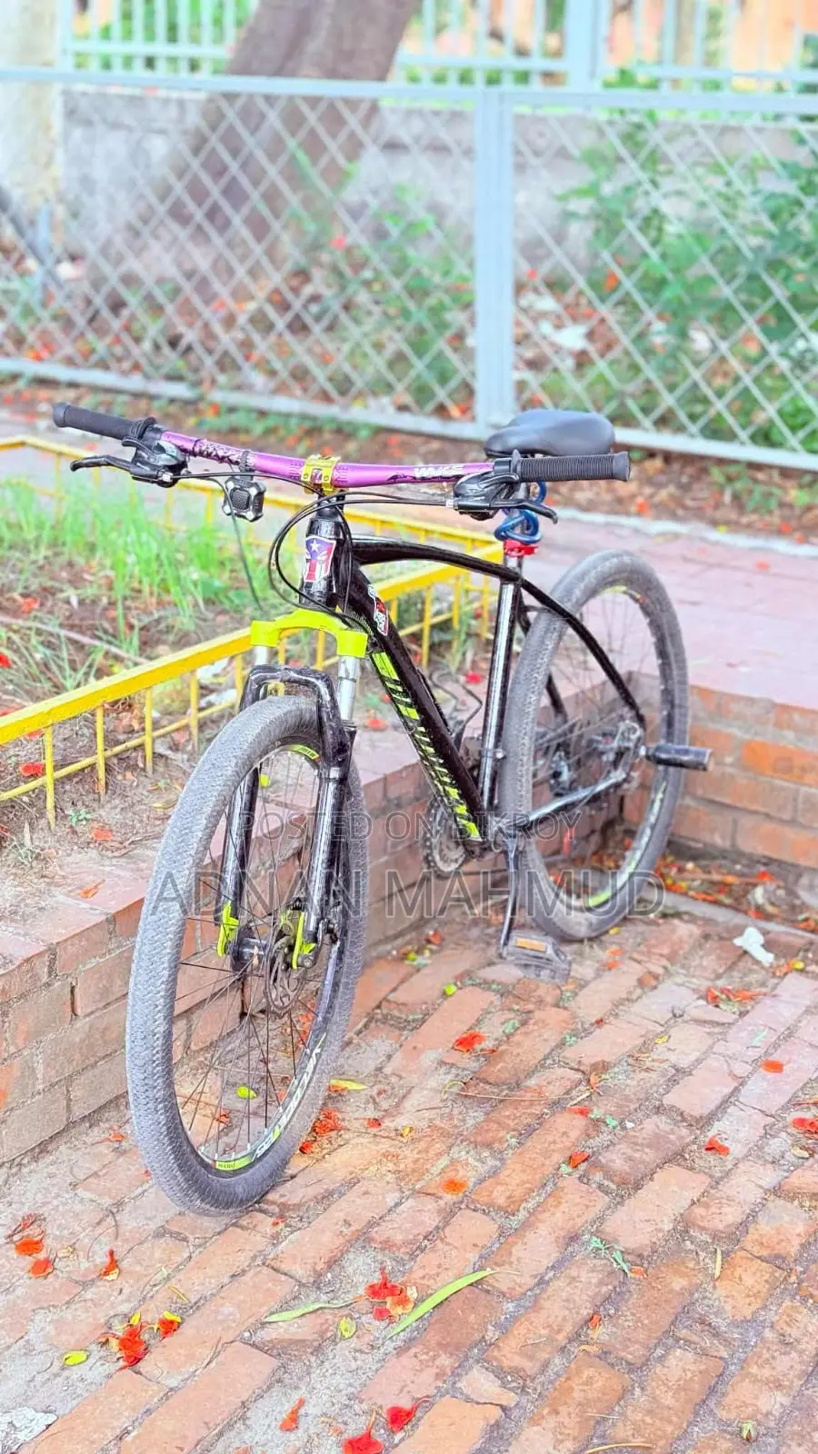 Veloce Cycle (MTB)